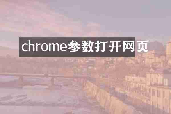 chrome参数打开网页