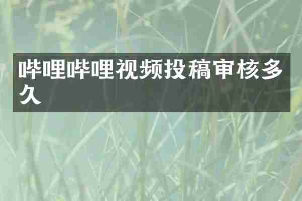 哔哩哔哩视频投稿审核多久