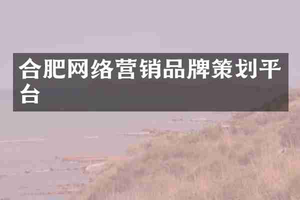 合肥网络营销品牌策划平台