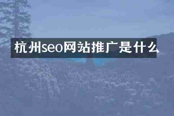 杭州seo网站推广是什么