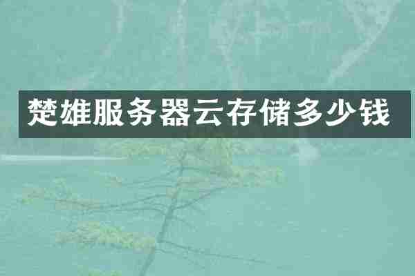 楚雄服务器云存储多少钱