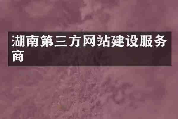 湖南第三方网站建设服务商