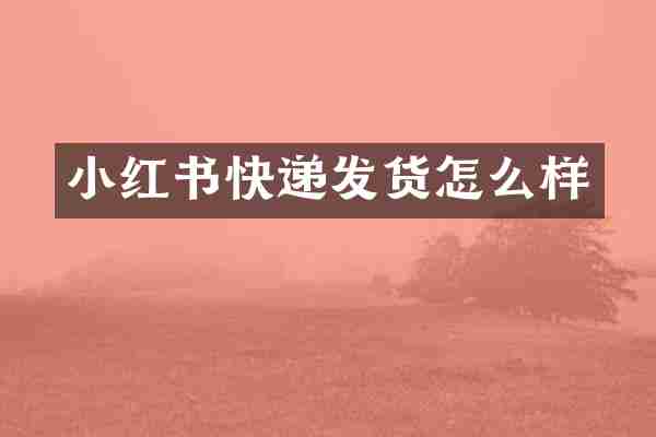 小红书快递发货怎么样