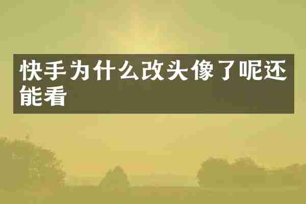 快手为什么改头像了呢还能看