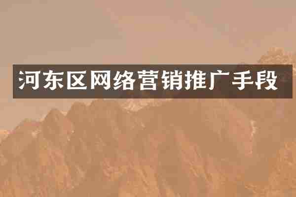 河东区网络营销推广手段