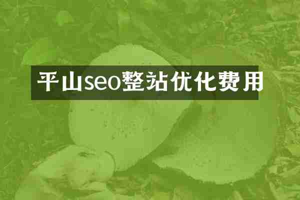 平山seo整站优化费用