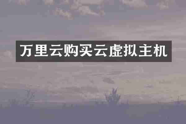 万里云购买云虚拟主机