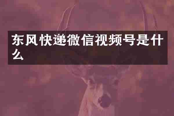 东风快递微信视频号是什么