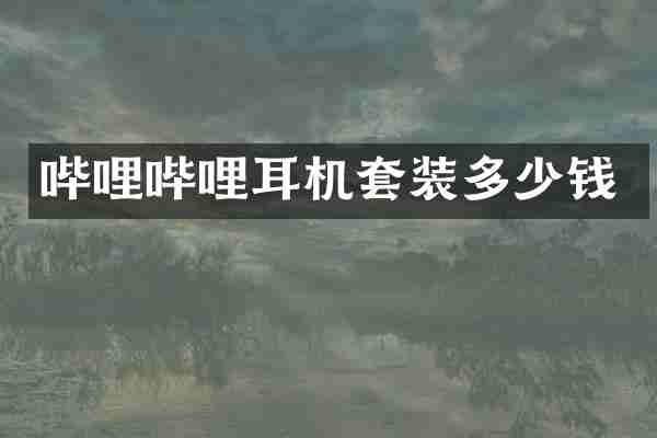 哔哩哔哩耳机套装多少钱
