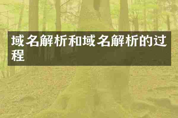 域名解析和域名解析的过程