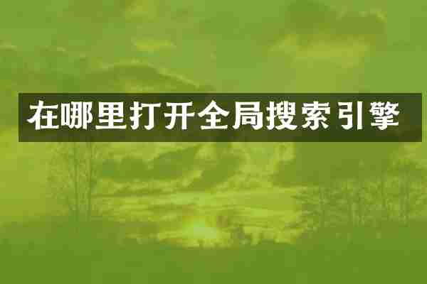 在哪里打开全局搜索引擎