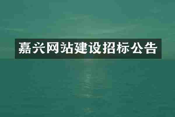 嘉兴网站建设招标公告