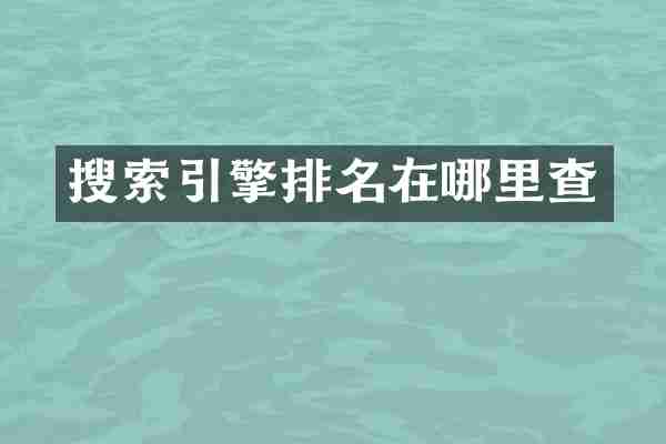 搜索引擎排名在哪里查
