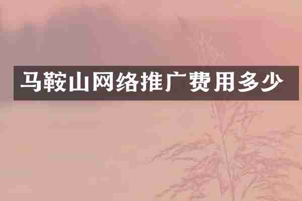 马鞍山网络推广费用多少
