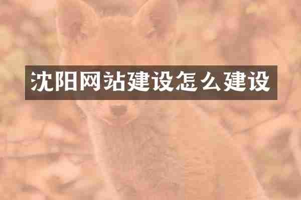 沈阳网站建设怎么建设