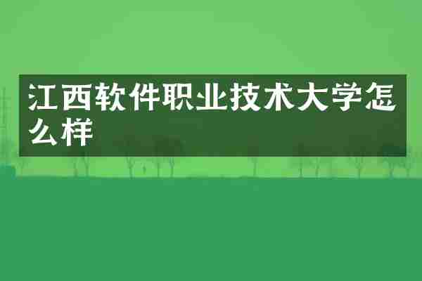 江西软件职业技术大学怎么样