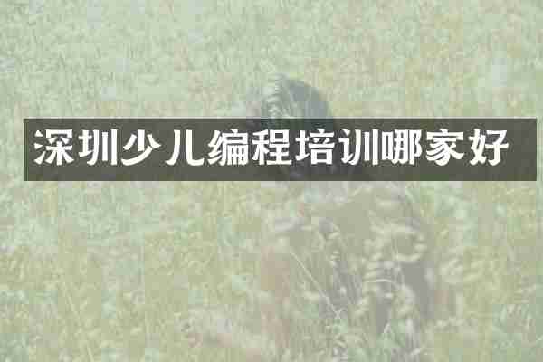 深圳少儿编程培训哪家好