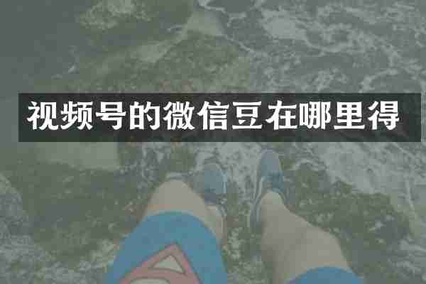 视频号的微信豆在哪里得