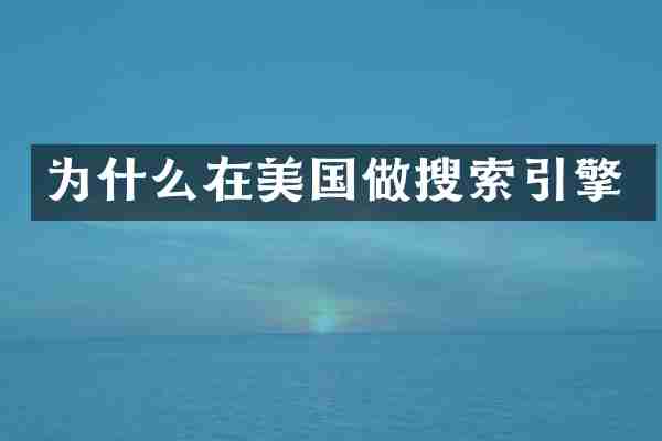 为什么在美国做搜索引擎