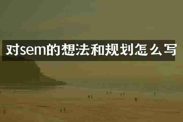 对sem的想法和规划怎么写