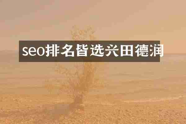 seo排名皆选兴田德润