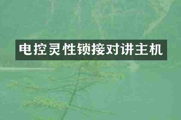 电控灵性锁接对讲主机