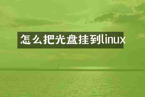 怎么把光盘挂到linux