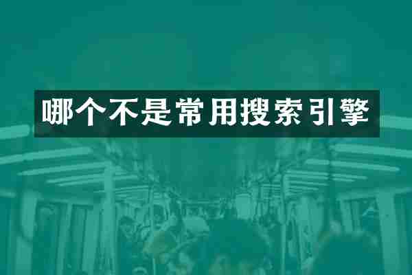 哪个不是常用搜索引擎