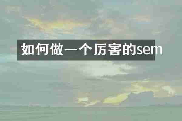 如何做一个厉害的sem