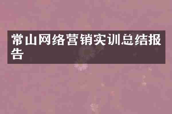 常山网络营销实训总结报告