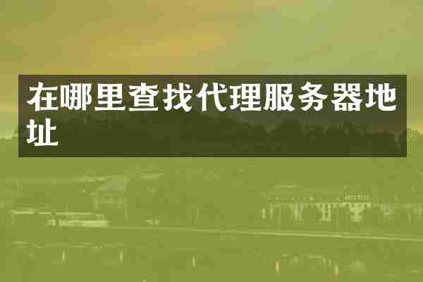 在哪里查找代理服务器地址