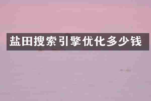 盐田搜索引擎优化多少钱