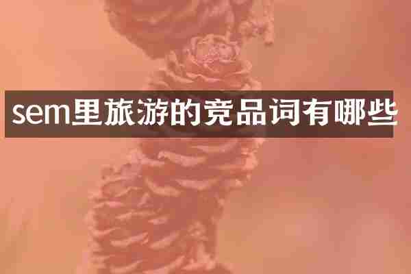 sem里旅游的竞品词有哪些