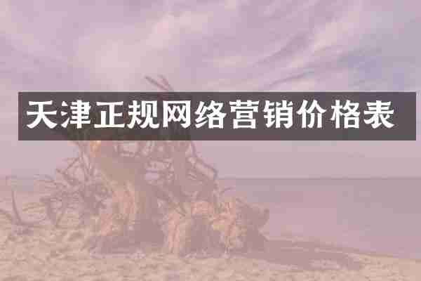 天津正规网络营销价格表