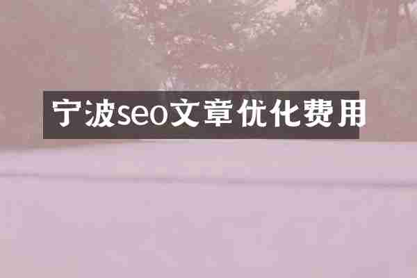宁波seo文章优化费用