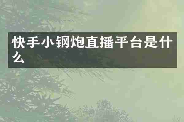 快手小钢炮直播平台是什么