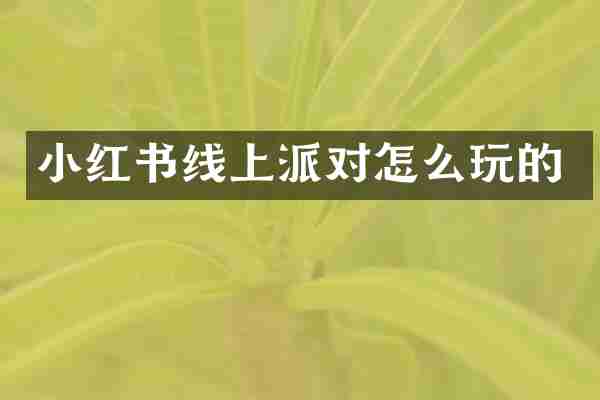 小红书线上派对怎么玩的