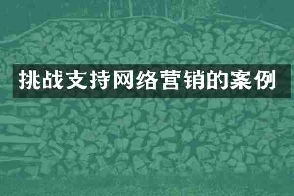 挑战支持网络营销的案例