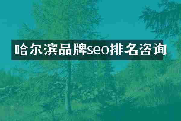 哈尔滨品牌seo排名咨询