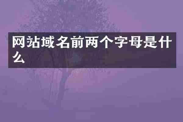 网站域名前两个字母是什么