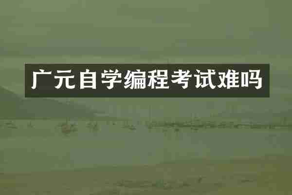 广元自学编程考试难吗