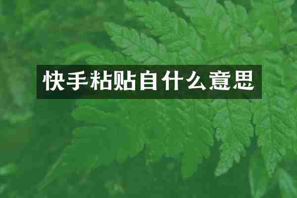 快手粘贴自什么意思