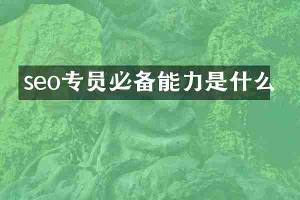 seo专员必备能力是什么
