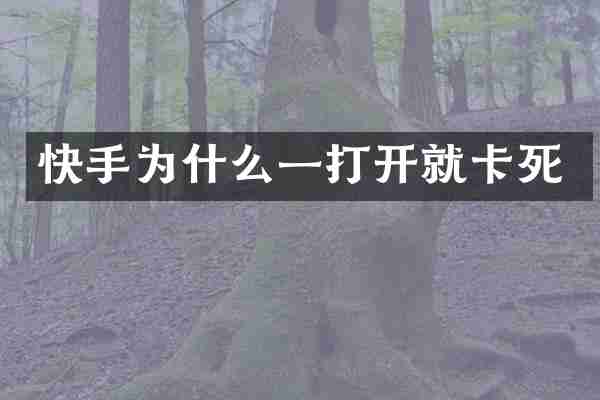 快手为什么一打开就卡死