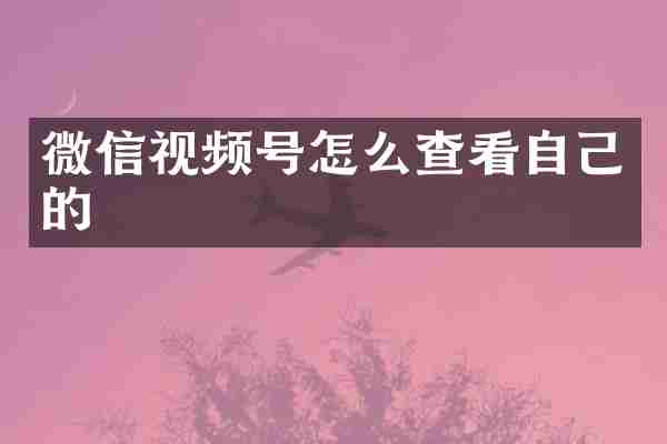 微信视频号怎么查看自己的