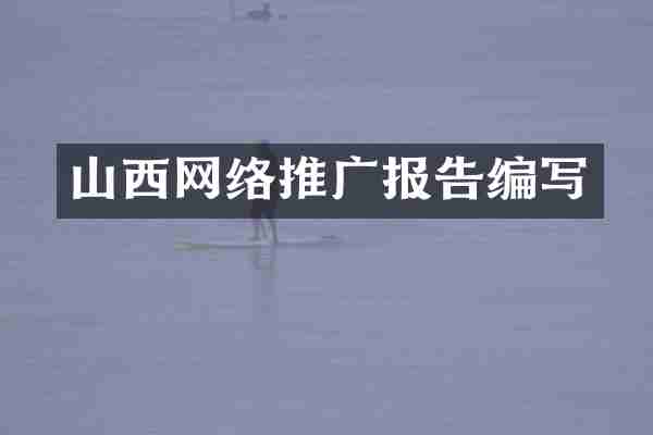 山西网络推广报告编写