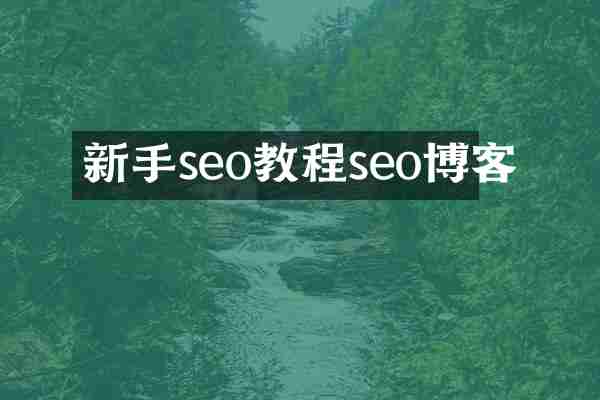 新手seo教程seo博客