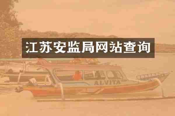 江苏安监局网站查询