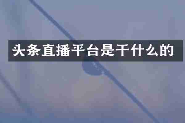 头条直播平台是干什么的