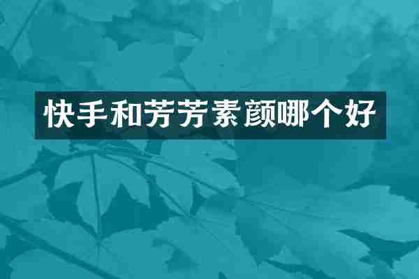 快手和芳芳素颜哪个好